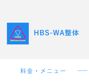 HBS-WA整体